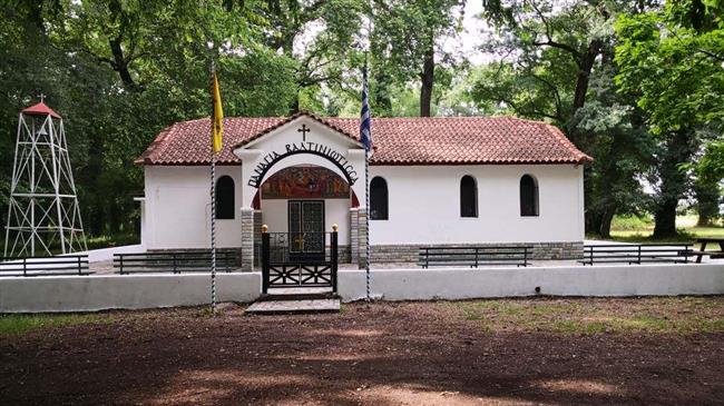 Τρίκαλα: Δέντρα φράξου 200 ετών στο «Δάσος Παναγίας Βαλτινού» του Δήμου Τρικκαίων