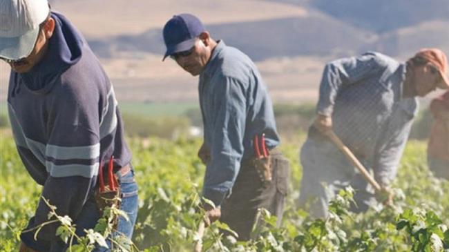 Σταθερή πτώση της διαθεσιμότητας εργατών στη γεωργία της Ε.Ε.