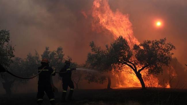 Έως και 500 χιλιάδες ευρώ η επιχορήγηση για τους πυρόπλυκτους αγρότες