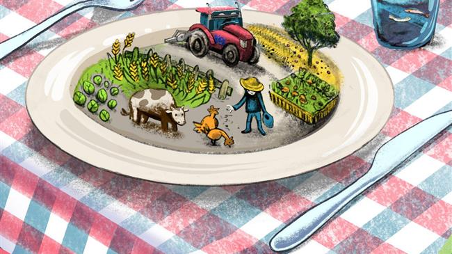 Από το αγρόκτημα στο πιάτο: Ένα χρόνο μετά τη θέσπιση του Κώδικα Δεοντολογίας της ΕΕ