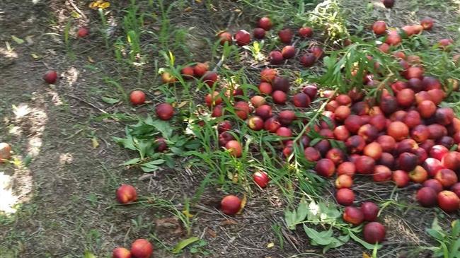 Βασιλειάδης: Γρήγορες και δίκαιες αποζημιώσεις για τους πληγέντες από τις βροχοπτώσεις