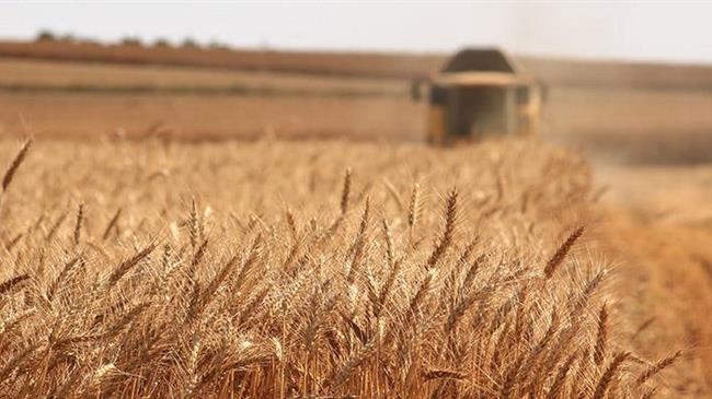Οι ελληνικοί σιτοβολώνες που φέρνουν τη χρυσή επιλογή στη σύγχρονη διατροφή