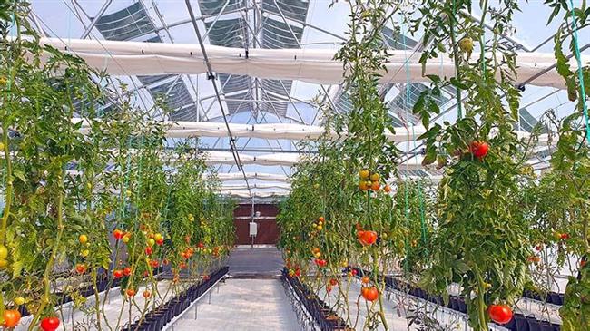 Βέλτιστες πρακτικές για την παραγωγή και την ενέργεια στη Γεωργία