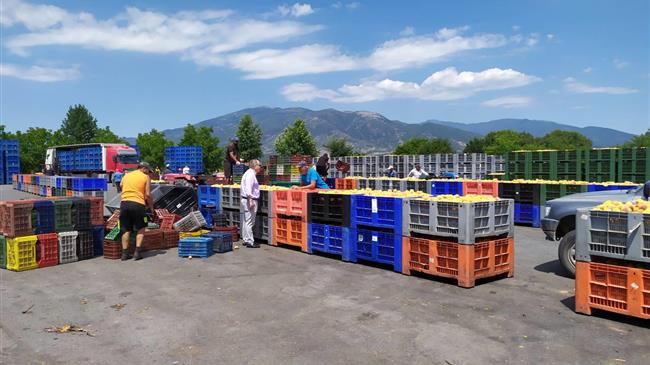 Καρασμάνης: Κρείττον το σιγάν κ. Γιαννακάκη !