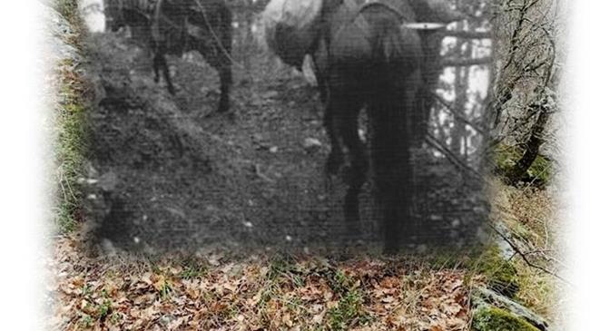 Ο Δρόμος του αλατιού… περνούσε από τα Πιέρια Όρη!!!