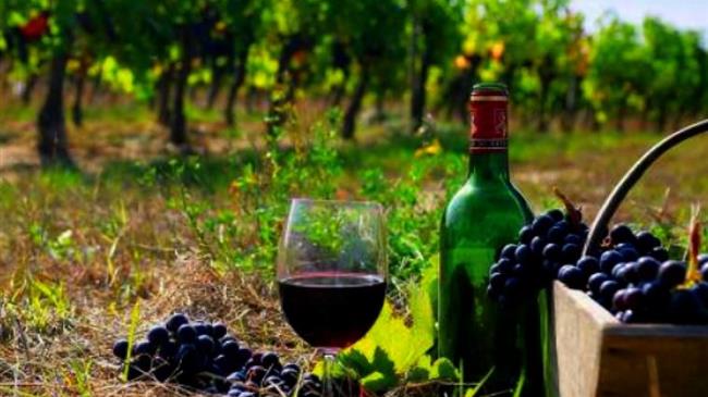 Στροφή του Πεκίνου προς την εξαγωγή εμπορικά επώνυμων και ποιοτικών κινεζικών αγροτικών προϊόντων