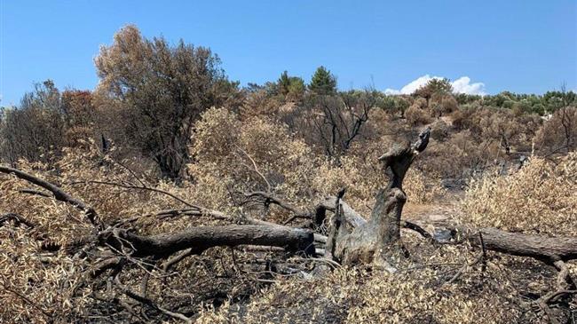 Δηλώσεις ζημιάς από τη φωτιά για τους αγρότες της Βρίσας