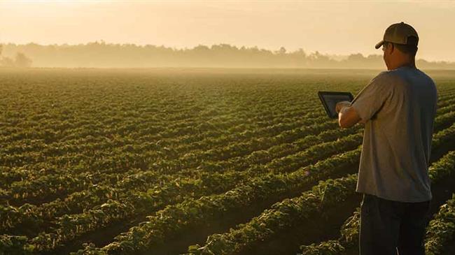 ΟΠΕΚΕΠΕ: Καταχώρηση των συμβάσεων με συμβούλους για τις Βιολογικές καλλιέργειες