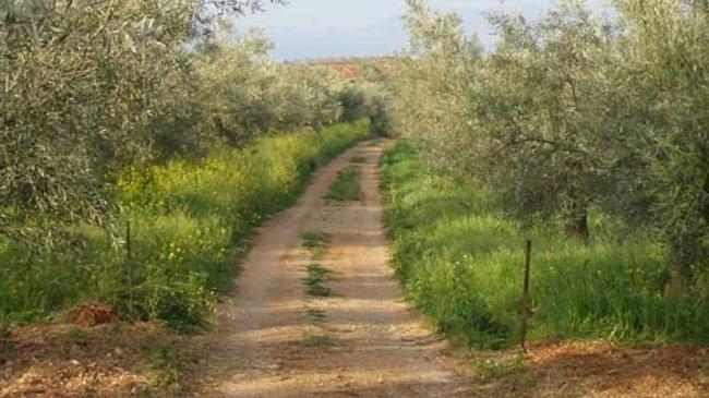 Στα 106,8 εκατ. ευρώ τα έργα αγροτικής οδοποιίας