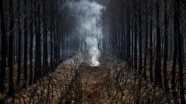 Οι πυρκαγιές καίνε, οι αγρότες σε απόγνωση καθώς ένας άλλος καύσωνας ψήνει τη δυτική Ευρώπη