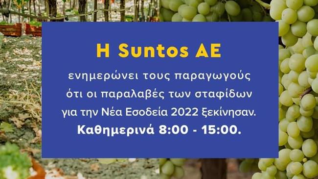 Η Suntos παραλαμβάνει Σταφίδα Σουλτανίνα