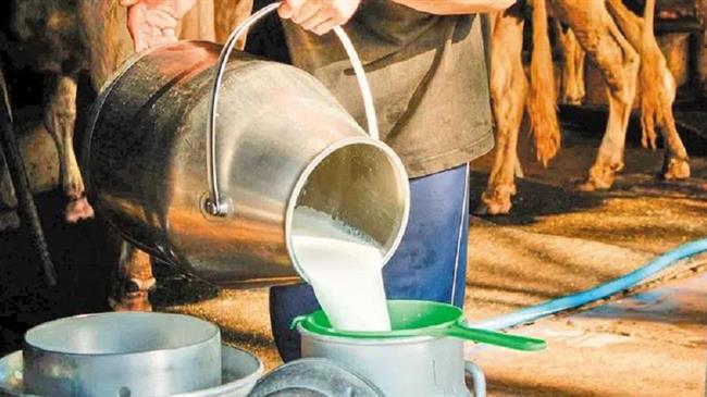 Ηλεία: Σοβαρές ελλείψεις και επαπειλούμενη επισιτιστική κρίση - Τι λένε οι παραγωγοί