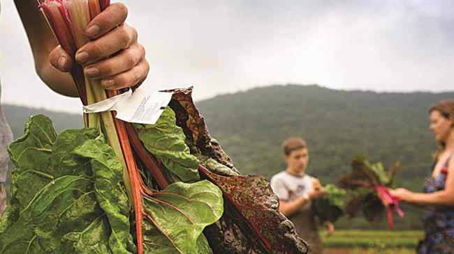 Πληρωμές σε επιλαχόντες νέους αγρότες σε Θεσσαλία και Μακεδονία- Έρχονται πληρωμές και στις άλλες περιφέρειες