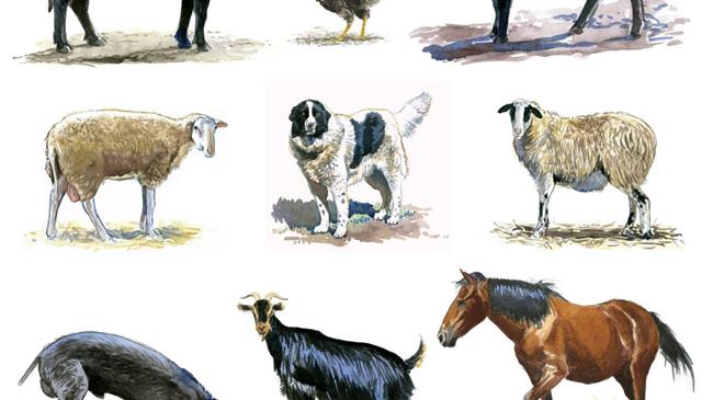 36ο Ετήσιο Επιστημονικό Συνέδριο της Ε.Ζ.Ε.