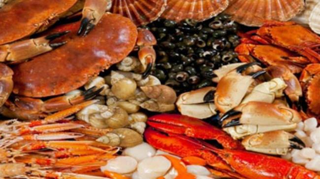 Άρση Απαγόρευσης  Αλιείας ψαριών–εδωδίμων–Οστρακοειδών & εχινοδέρμων (αχινών)