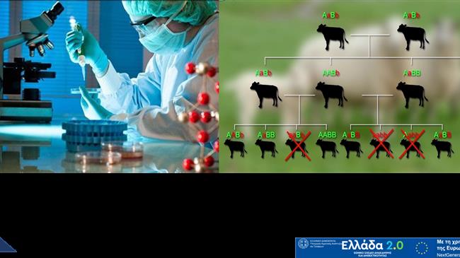 Μετάθεση της ημερομηνίας έναρξης υποβολής αιτήσεων ενίσχυσης στο υποέργο Γενετική Βελτίωση Ζώων