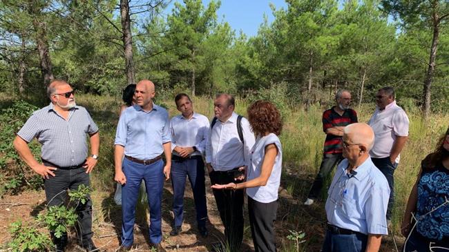 Γ. Αμυράς: «Αναδάσωση με 42.500 πλατύφυλλα στο Σέιχ Σου»