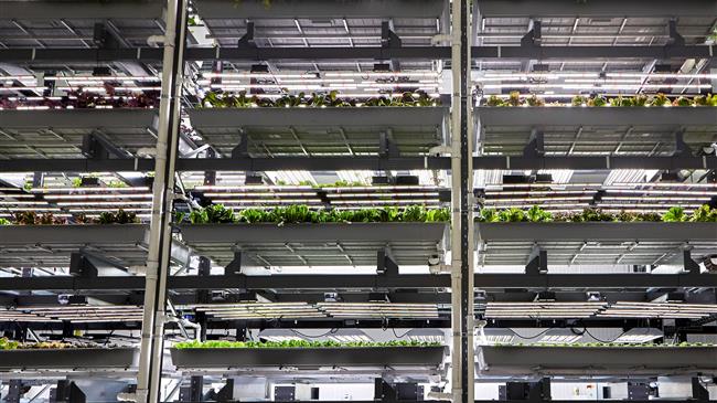 Γεωργία εσωτερικών χώρων: Ακριβή επένδυση στις ΗΠΑ - Απαραίτητα φορολογικά κίνητρα που σχετίζονται με το κλίμα