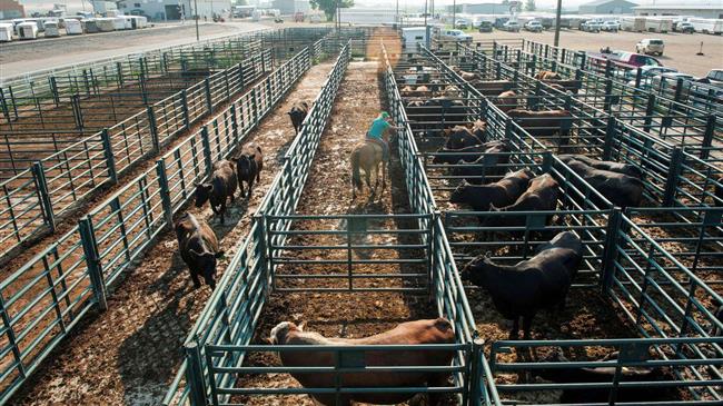 Νέοι Αγρότες: Με επιδότηση και δάνειο έως 100.000 η νέα προκήρυξη