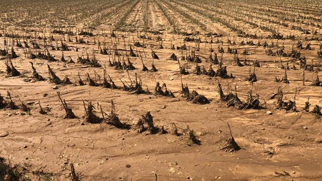 Την ερχόμενη εβδομάδα θα κατατεθεί τροπολογία για την καταβολή της προκαταβολής στους ζημιωθέντες παραγωγούς