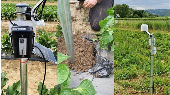 Εγκεκριμένος Προμηθευτής για το Πρόγραμμα “ΨΗΦΙΑΚΑ ΕΡΓΑΛΕΙΑ ΜΜΕ”