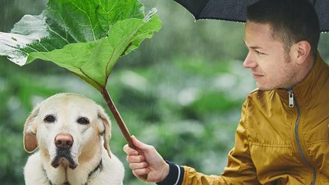 ΠΡΑΣΙΝΟ ΚΙΝΗΜΑ: Τα ζώα είναι ισότιμος συγκάτοικός μας στον πλανήτη