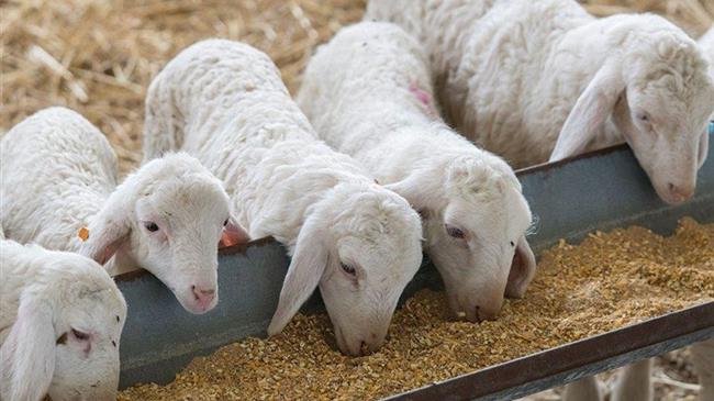 Μέτρο 22: Πιστώθηκε η τρίτη πληρωμή