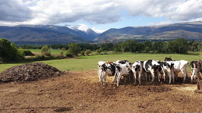 Arla Foods:Πρόγραμμα οικολογικής επιβράβευσης γαλακτοπαραγωγών