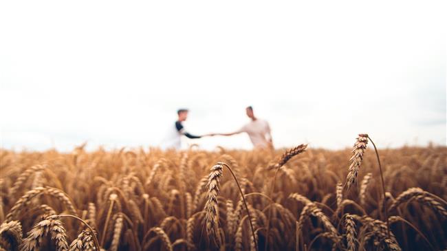 ΘΕΣγη: Απαιτείται η προσκόμιση αντιγράφου της ενιαίας δήλωσης καλλιέργειας (ΟΣΔΕ 2022)