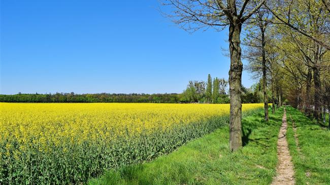 Realigning of public expenditures and increasing investment into agrifood systems transformation is key for sustainable future