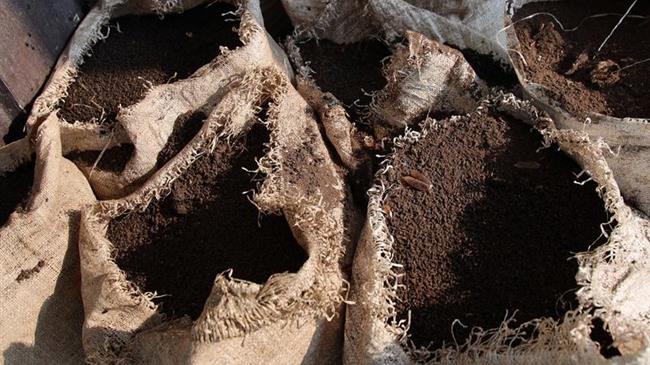 Περού: Στρέφεται στις κουτσουλιές, ως εναλλακτική λύση στην παγκόσμια έλλειψη λιπασμάτων