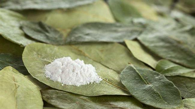 Κολομβία: Ιστορικό ρεκόρ των καλλιεργειών κόκας το 2021