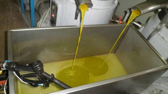 Ανανέωση προθεσμίας για αναγνώριση Ομ.Π και Ο.Π. Ελαιόλαδου Λέσβου και Λήμνου