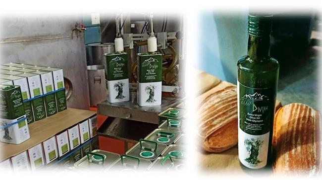 Η «η ισχύς εν τη ενώσει», για τους ελαιοπαραγωγούς του εξαιρετικά παρθένου ελαιόλαδου ¨ΘΕΪΚΟ ΟΛΥΜΠΟΣ¨