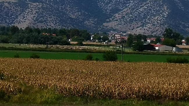 The Green Tank: Πώς μπορούν τα κράτη μέλη της ΕΕ να εφαρμόσουν μια πετυχημένη πολιτική για την αποκατάσταση της φύσης;