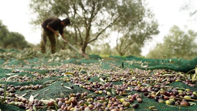 Η πραγματικότητά για τους Εργάτες Γης