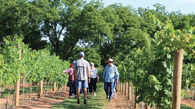 Παράταση καταβολής ειδικής ασφαλιστικής εισφοράς για αγρότες