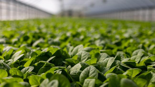 Οι Agro-start ups ανά περιφέρεια, στοιχεία και προβληματισμοί