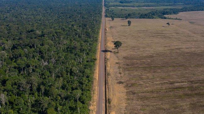 E.E.: Ζυμώσεις για τον κανονισμό κατά της αποψίλωσης των δασών;
