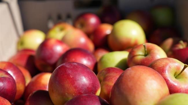 ΥΠΑΑΤ: Ενισχύσεις 300 ευρώ/στρέμμα στους μηλοκαλλιεργητές της ΠΕ Λάρισας
