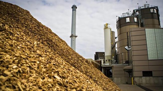 Η Ευρώπη αντιμέτωπη με έλλειψη πρώτων υλών για τα βιοκαύσιμα