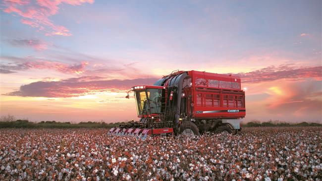 Διευκρινίσεις για τους μειωμένους συντελεστές ΦΠΑ για αγροτικά είδη: Τι πρέπει να ξέρετε