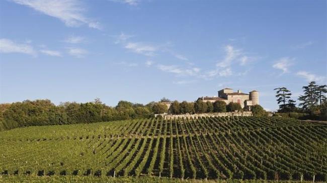 Ο αμπελώνας του Μπορντό διατηρεί το αίτημά του για οριστική εγκατάλειψη