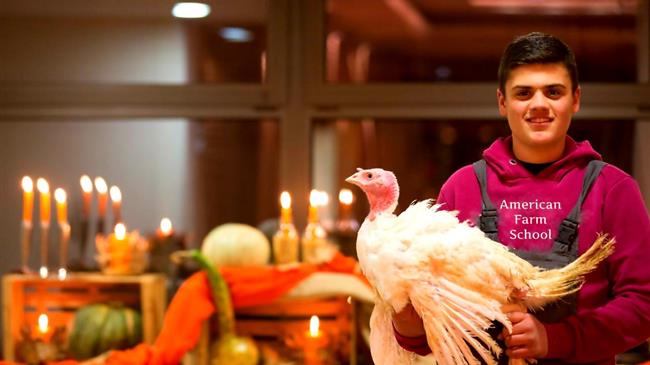 Είκοσι χιλιάδες γαλοπούλες της Αμερικανικής Γεωργικής Σχολής «πετούν» για το Χριστουγεννιάτικο τραπέζι