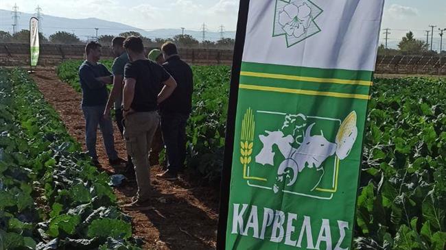 Πάθος για τον σπόρο στον επιδεικτικό αγρό Καρβελάς - SAKATA  στον Ασπρόπυργο Αττικής