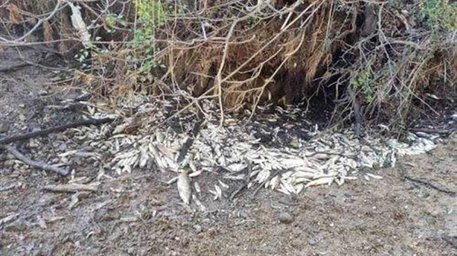 Παρέμβαση Υπουργείου Περιβάλλοντος και Ενέργειας για τον ποταμό Λούρο