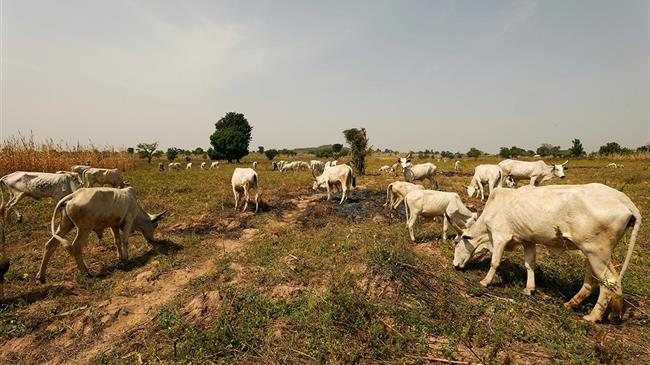 Νιγηρία: 18 νεκροί σε βίαια επεισόδια μεταξύ νομάδων κτηνοτρόφων και αγροτών