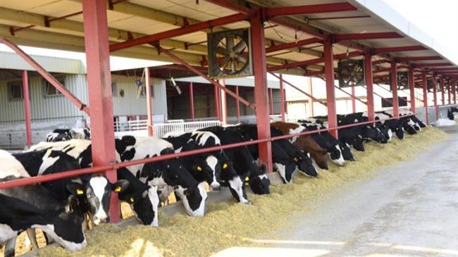 Παρατάσεις προθεσμιών για κτηνοτροφικές εγκαταστάσεις και αγροτικά ακίνητα