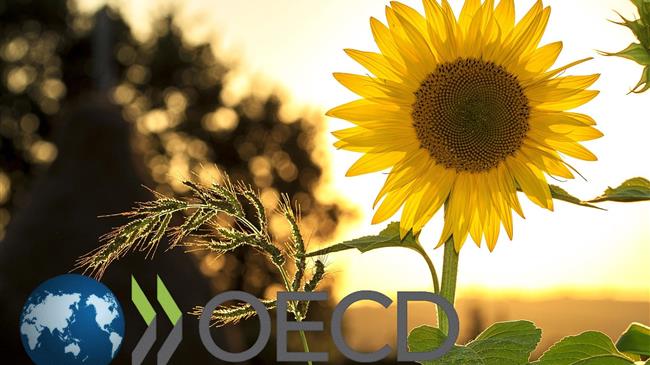 ΟΟΣΑ: «Τριπλή πρόκληση» για τη γεωργία - ανάγκη εξασφάλισης προμηθειών- τροφίμων, αντιμετώπισης της περιβαλλοντικής βιωσιμότητας