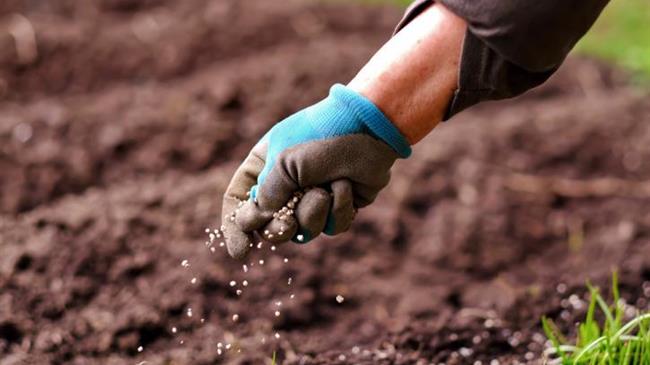 Financial Times: «Τα λιπάσματα είναι το νέο αέριο»